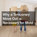 Why a Temporary Move Out is Necessary for Mold